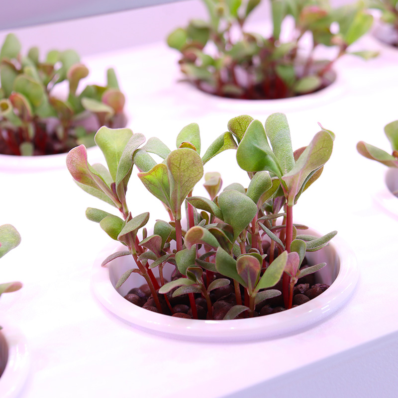 Smart Indoor Garden Hydroponic - Smart Garden Stackable Planters recension och pris