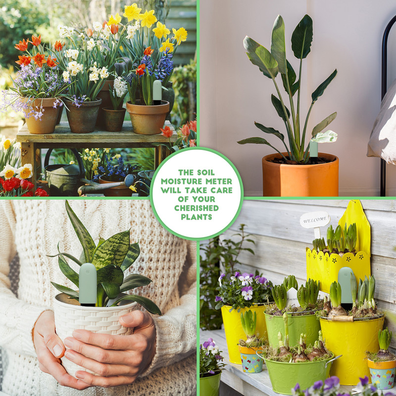 HHCC Flora Care Monitor Garden - Smart Garden Sensors recension och pris
